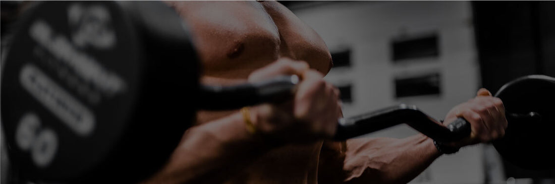 building muscle 